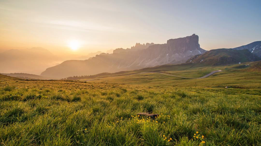 Photo of green grass field at sunrise