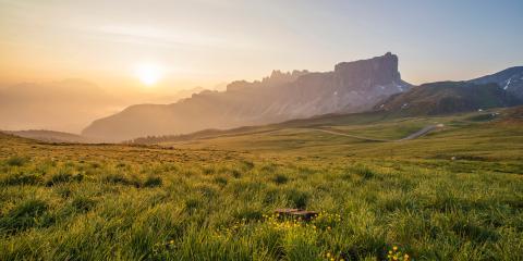 Photo of green grass field at sunrise