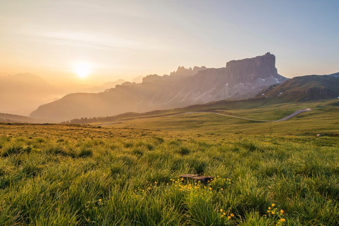 Photo of green grass field at sunrise